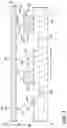 Fig. 08 - ENGINE COMPONENT ASSEMBLY