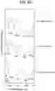Fig. 14 - Combustion system