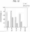 Fig. 14 - COMBUSTION SYSTEM