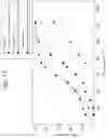 Fig. 19 - COMBUSTION SYSTEM