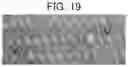 Fig. 21 - COMBUSTION SYSTEM