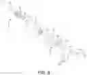 Fig. 09 - Snowmobile having a parallel-path exhaust system for two-stroke engine