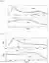 Fig. 05 - Gas intake device having two asymmetrical intake ducts