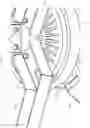 Fig. 25 - VERTICAL AXIS WIND TURBINE