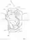 Fig. 06 - Constant velocity joint