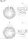 Fig. 11 - Two-way clutch
