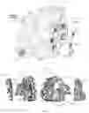 Fig. 05 - Powertrain and all-terrain vehicle