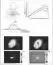 Fig. 01 - OPTICAL ELEMENT, VEHICLE HEADLIGHT, LIGHT SOURCE DEVICE, AND PROJECTION DEVICE