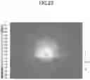 Fig. 17 - OPTICAL ELEMENT, VEHICLE HEADLIGHT, LIGHT SOURCE DEVICE, AND PROJECTION DEVICE