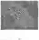 Fig. 12 - Real-time display method, device, system and storage medium of three-dimensional point cloud