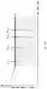 Fig. 11 - Surveying system and surveying method