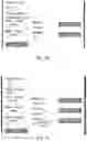 Fig. 14 - Truck scale management system and method