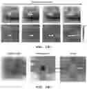 Fig. 19 - Stretchable sensor for sensing multimodal temperature and strain