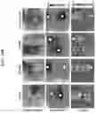 Fig. 20 - Stretchable sensor for sensing multimodal temperature and strain