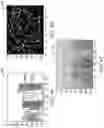 Fig. 09 - Time-and data-efficient assurance of leak detection