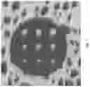 Fig. 08 - Optical fiber endface inspection microscope having a dual illumination source