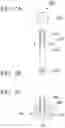 Fig. 03 - CELL MANIPULATION DEVICE AND CELL MANIPULATION METHOD
