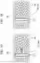 Fig. 07 - CELL MANIPULATION DEVICE AND CELL MANIPULATION METHOD