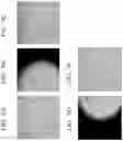 Fig. 10 - CELL MANIPULATION DEVICE AND CELL MANIPULATION METHOD