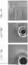 Fig. 11 - CELL MANIPULATION DEVICE AND CELL MANIPULATION METHOD