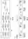 Fig. 08 - Optical particulate detection for an aircraft