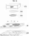 Fig. 07 - Real-time quantification method of cell viability through supravital dye uptake using lens-free imaging system