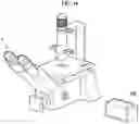 Fig. 15 - Real-time quantification method of cell viability through supravital dye uptake using lens-free imaging system
