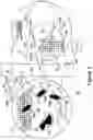 Fig. 04 - Amplified multiplex absorption spectroscopy