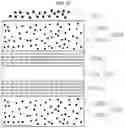 Fig. 08 - Fluorescence filter and image sensor module including same