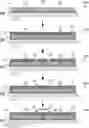 Fig. 01 - TUNABLE NANOPILLAR AND NANOGAP ELECTRODE STRUCTURES AND METHODS THEREOF