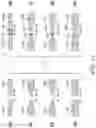 Fig. 13 - TUNABLE NANOPILLAR AND NANOGAP ELECTRODE STRUCTURES AND METHODS THEREOF