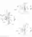 Fig. 08 - System and method for passive normalization of a probe