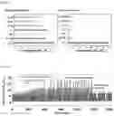Fig. 03 - METHOD OF MANUFACTURING METAL NANOPARTICLE-OXIDE SUPPORT COMPLEX STRUCTURE BASED GAS SENSOR