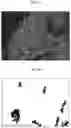 Fig. 09 - Computer method and system for deriving cell-to-cell spatial proximities