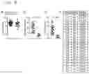 Fig. 08 - COMPOSITIONS AND METHODS FOR CHARACTERIZING AND TREATING ALZHEIMERS DISEASE