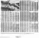 Fig. 02 - Method for Processing Blood Sample