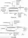 Fig. 13 - Multivalent binding composition for nucleic acid analysis