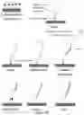 Fig. 33 - Multivalent binding composition for nucleic acid analysis