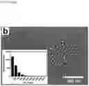 Fig. 27 - Nanoplasmonic instrumentation, materials, methods and system integration