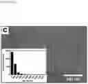 Fig. 28 - Nanoplasmonic instrumentation, materials, methods and system integration