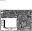 Fig. 30 - Nanoplasmonic instrumentation, materials, methods and system integration