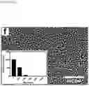 Fig. 31 - Nanoplasmonic instrumentation, materials, methods and system integration