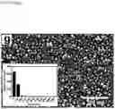 Fig. 32 - Nanoplasmonic instrumentation, materials, methods and system integration