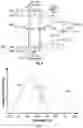 Fig. 04 - Proteomic assay using quantum sensors