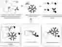 Fig. 01 - NOVEL IMMUNOASSAY FORMAT FOR MEASURING TOTAL ANTIBODIES