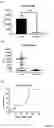 Fig. 03 - Biomarker Pairs of Preterm Birth