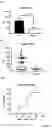 Fig. 06 - Biomarker Pairs of Preterm Birth