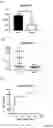 Fig. 07 - Biomarker Pairs of Preterm Birth