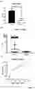 Fig. 21 - Biomarker Pairs of Preterm Birth