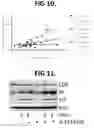 Fig. 08 - TEST TO ASSESS LIVER DISEASE SEVERITY